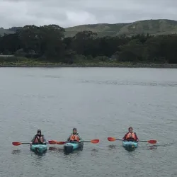 Bodega Bay Kayak Adventures - Bodega Bay