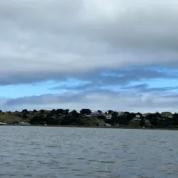 Bodega Bay Kayak Adventures - Bodega Bay