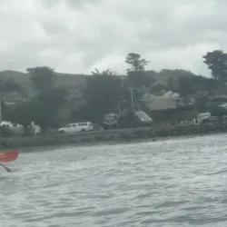 Bodega Bay Kayak Adventures - Bodega Bay