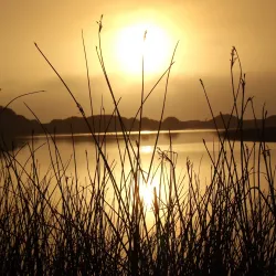 Bodega Bay Kayak Adventures - Bodega Bay