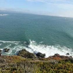 Bodega Bay Marine Laboratory - Bodega Bay