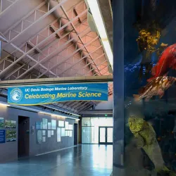 Bodega Bay Marine Laboratory - Bodega Bay