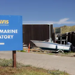 Bodega Bay Marine Laboratory - Bodega Bay