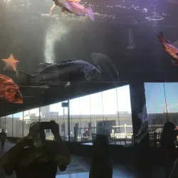 Bodega Bay Marine Laboratory - Bodega Bay