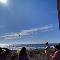 Bodega Bay Marine Laboratory - Bodega Bay