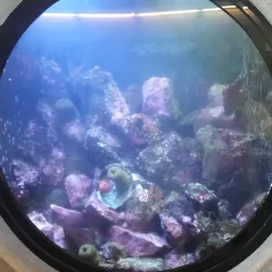 Bodega Bay Marine Laboratory - Bodega Bay