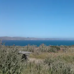 Bodega Bay Trail - Bodega Bay