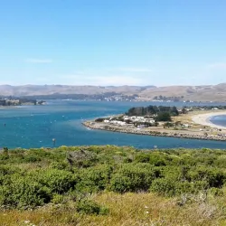Bodega Bay Trail - Bodega Bay