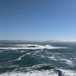 Bodega Bay Trail - Bodega Bay