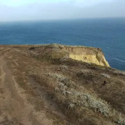 Bodega Bay Trail - Bodega Bay