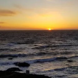 Bodega Bay Trail - Bodega Bay