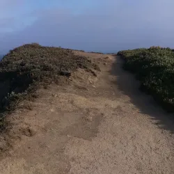 Bodega Bay Trail - Bodega Bay