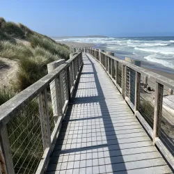 Bodega Dunes Campground - Bodega Bay