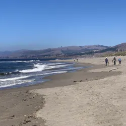 Bodega Dunes Campground - Bodega Bay