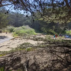 Bodega Dunes Campground - Bodega Bay