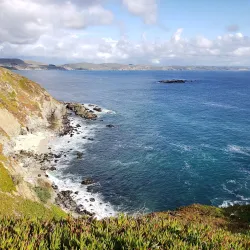 Bodega Dunes Campground - Bodega Bay