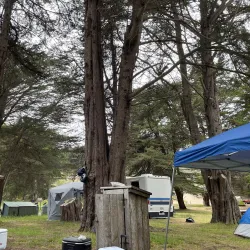 Bodega Dunes Campground - Bodega Bay