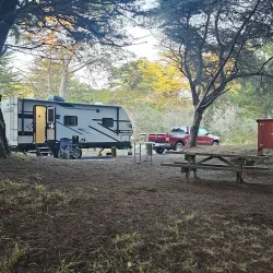 Bodega Dunes Campground - Bodega Bay