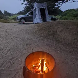 Bodega Dunes Campground - Bodega Bay