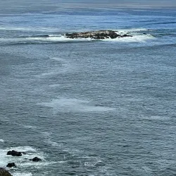 Bodega Head - Bodega Bay