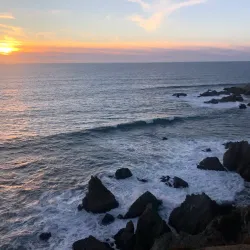 Bodega Head - Bodega Bay