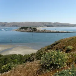 Bodega Head - Bodega Bay