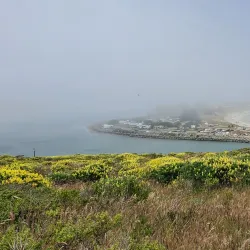 Bodega Head - Bodega Bay