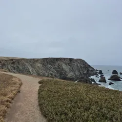 Bodega Head - Bodega Bay