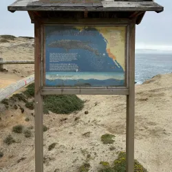 Bodega Head - Bodega Bay