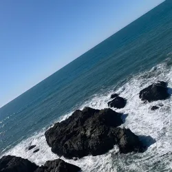 Bodega Head - Bodega Bay