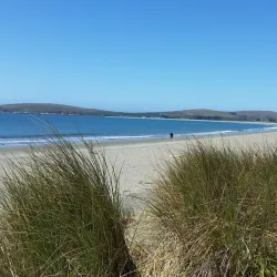 Doran Regional Park - Bodega Bay