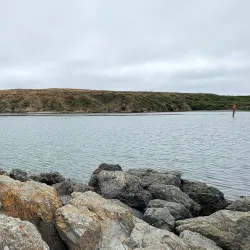 Doran Regional Park - Bodega Bay