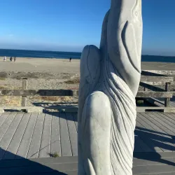 Doran Regional Park - Bodega Bay