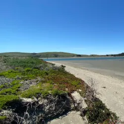 Doran Regional Park - Bodega Bay