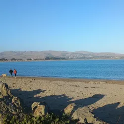 Doran Regional Park - Bodega Bay