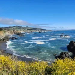 Sonoma Coast State Park - Bodega Bay