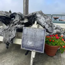 The Birds House (Tides Wharf) - Bodega Bay