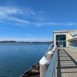 The Birds House (Tides Wharf) - Bodega Bay