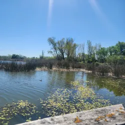 Big Break Regional Shoreline - Brentwood