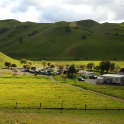 Black Diamond Mines Regional Preserve - Brentwood