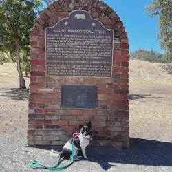 Black Diamond Mines Regional Preserve - Brentwood