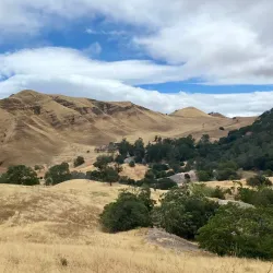 Black Diamond Mines Regional Preserve - Brentwood