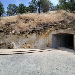 Black Diamond Mines Regional Preserve - Brentwood