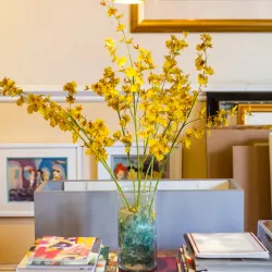 Brentwood Art Society Gallery - Brentwood