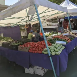 Brentwood Farmers Market - Brentwood