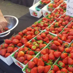 Brentwood Farmers Market - Brentwood