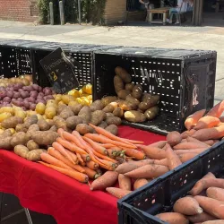 Brentwood Farmers Market - Brentwood