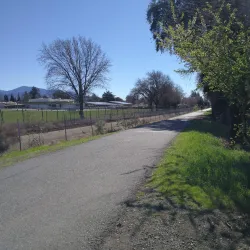 Contra Costa Canal Trail - Brentwood