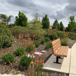 Sycamore Valley Park - Brentwood