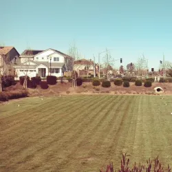 Sycamore Valley Park - Brentwood